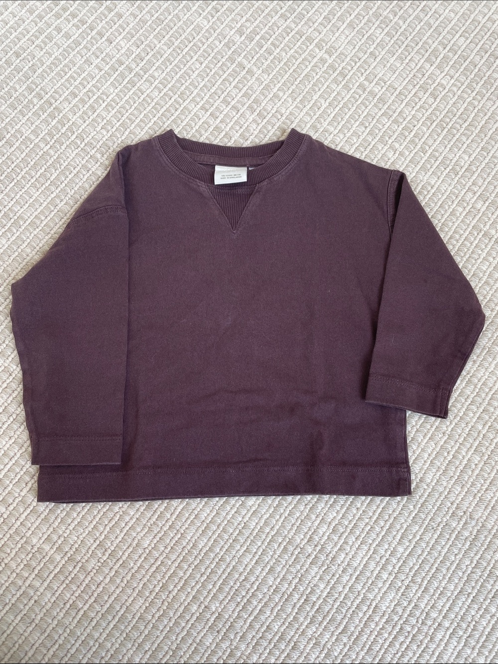 Zara Kids Long Sleeve Crewneck Tee - Plum